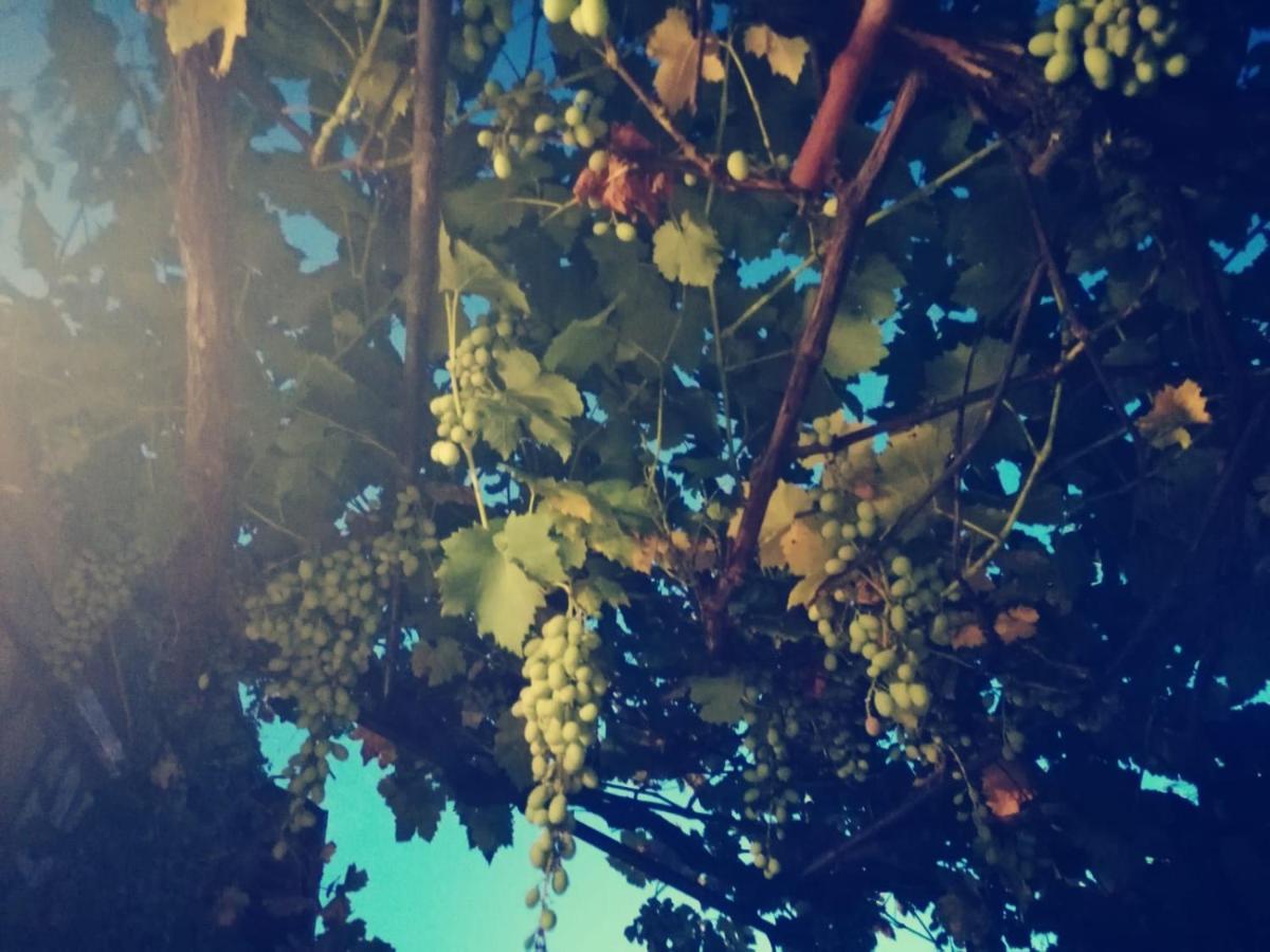 Casetta Nel Podere Di Massi Барберино-ди- Муджелло Экстерьер фото